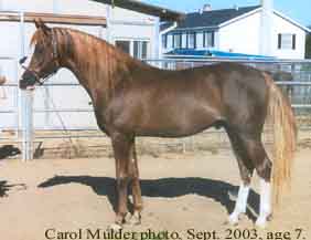 Sept. 2003, age 7. Carol Mulder photo.