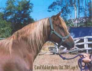 Oct. 2005, age 9. Carol Mulder photo.